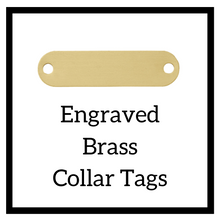 Load image into Gallery viewer, Brass Collar Plate