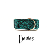 Load image into Gallery viewer, Dewey