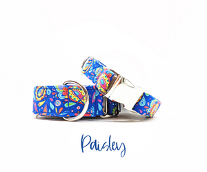 Paisley