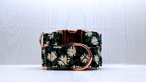 Aster Floral Collar