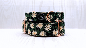 Aster Floral Collar