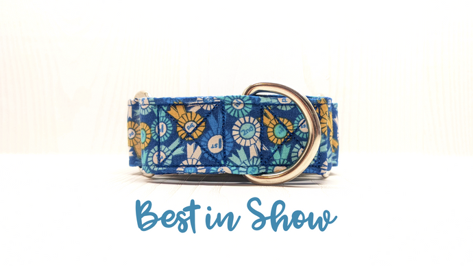 Best in Show