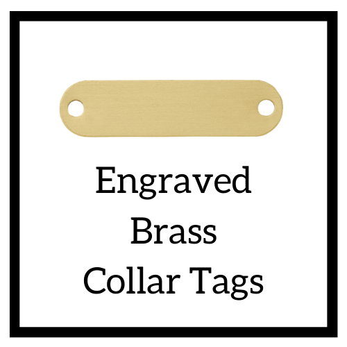 Brass Collar Plate