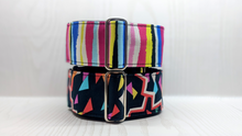 Load image into Gallery viewer, Crackle + Snap Dynamic Duo Collars