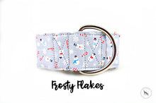 Load image into Gallery viewer, Frosty Flakes
