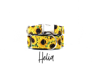 Helia