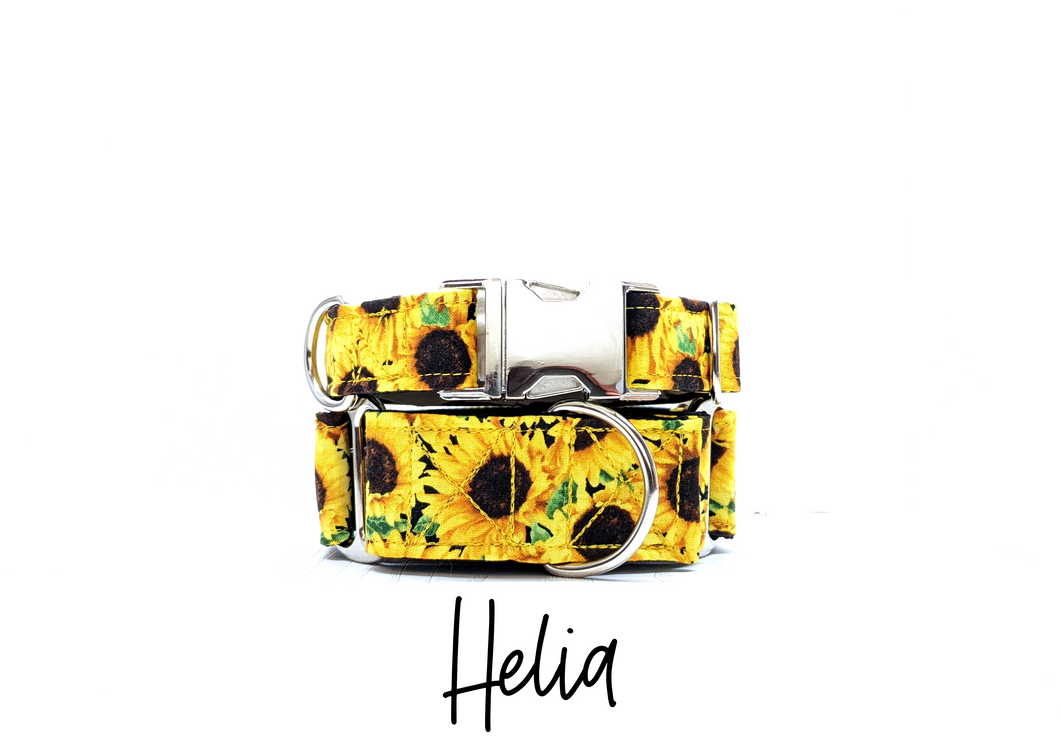 Helia