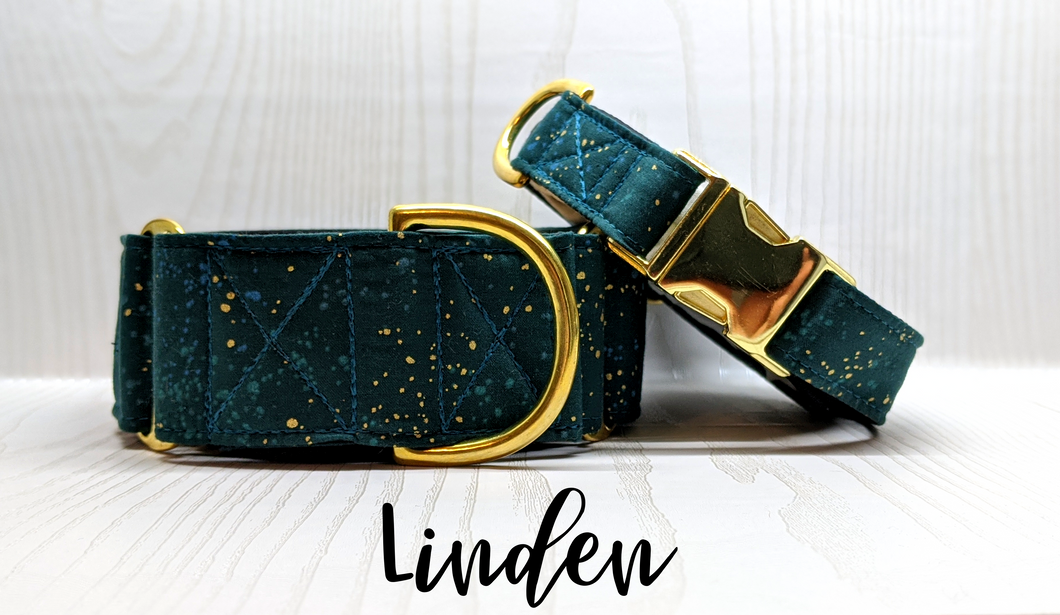 Linden Brass Dog Collar