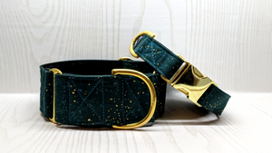 Linden Brass Dog Collar