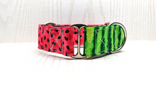 Load image into Gallery viewer, Melon-y Watermelon Martingale