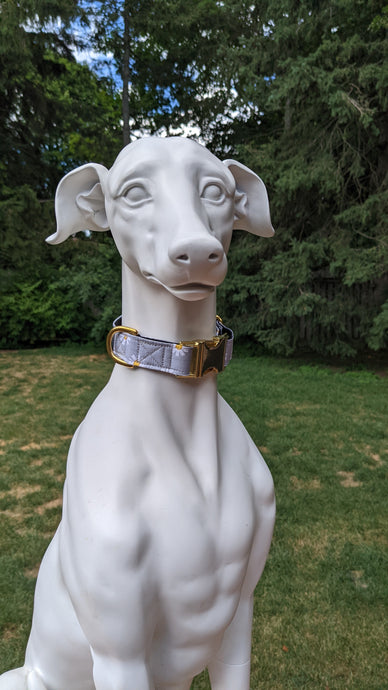 Daisy Mae Brass Buckle Collar - Size Small - Ready to Ship