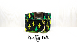 Prickly Pete Cactus Dog Collar