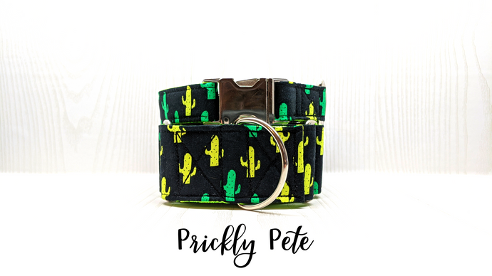 Prickly Pete Cactus Dog Collar