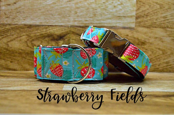 Strawberry Fields Dog Collar