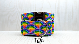 Toto Rainbow Dog Collar