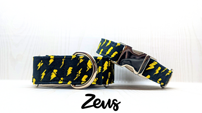 Zeus