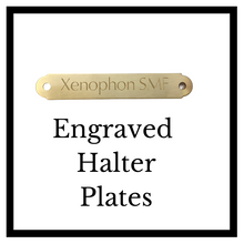 Load image into Gallery viewer, Brass Halter Plate